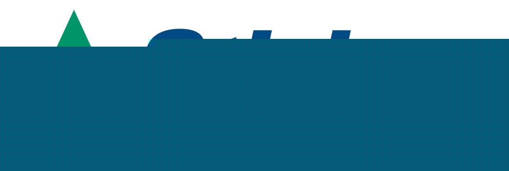 STIEBER軸承 STIEBER軸承